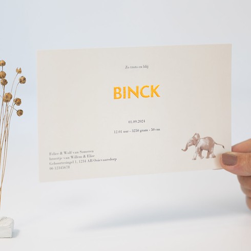 Jungle geboortekaartje met dieren - Binck