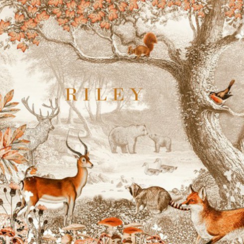 Geboortekaartje bosdieren - Riley