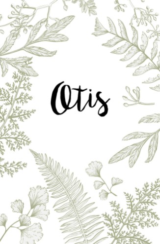 Geboortekaartje kalkpapier natuur groen - Otis