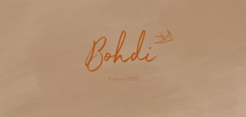 Geboortekaartje velvet fluweel Bohdi