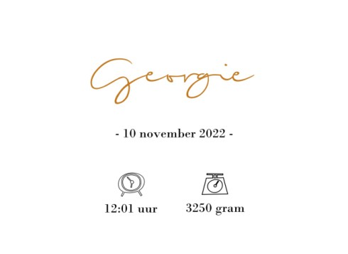 Kalkpapieren inlay geboortekaartje - Georgie (2van2)