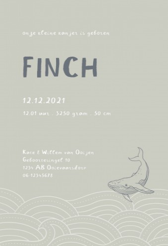 Karton geboortekaartje golfjes walvis - Finch