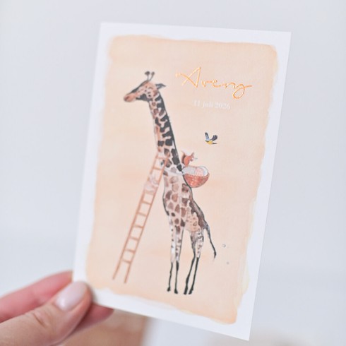 Geboortekaartje dieren met giraf - Avery