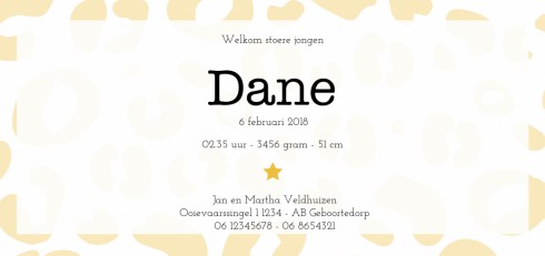 Geboortekaartje panter Dane - DIY achter