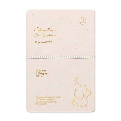 Geboortekaartje met labeltje olifant muis maan sterren - Charlie