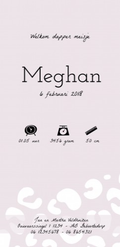 Geboortekaartje Meghan - DIY