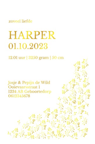 Botanisch geboortekaartje met goudfolie op kalkpapier - Harper