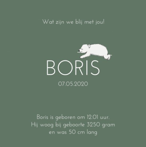 Dubbel geboortekaartje met ijsbeer - Boris