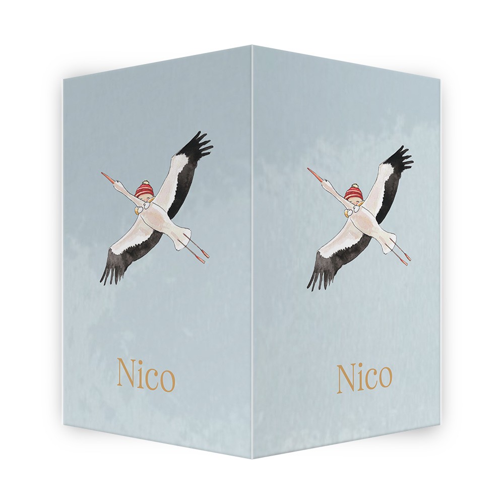 Geboortebord voor een zoon met ooievaar