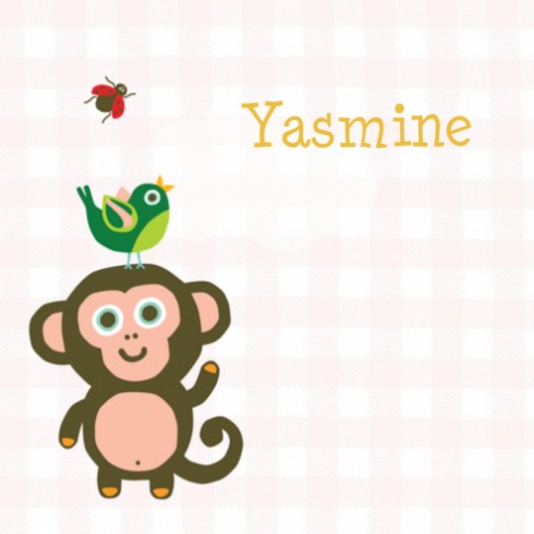 Geboortekaartje aapje - Yasmine - HK voor