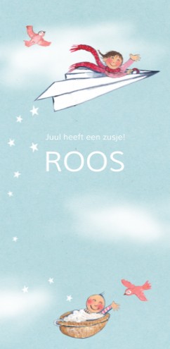 Geboortekaartje Airplane Roos - EB