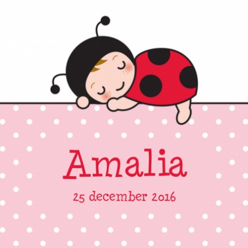 Geboortekaartje Amalia - Gb voor