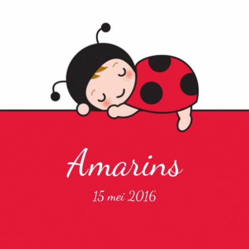 Geboortekaartje Amarins - Gb voor