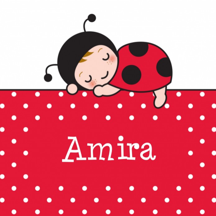 Geboortekaartje Amira - Gb voor