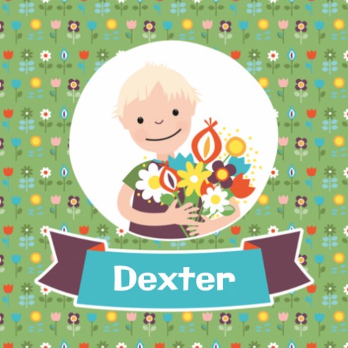 Geboortekaartje Dexter - ZW voor