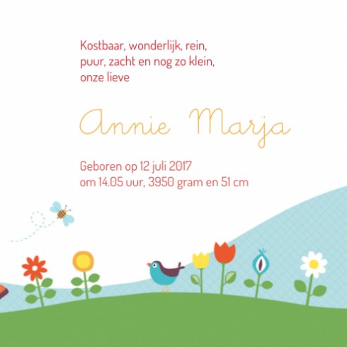 Geboortekaartje Annie - ZW