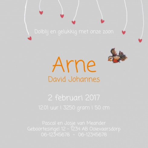 Geboortekaartje Arne - EB binnen