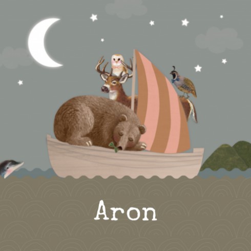 Geboortekaartje Aron - LK