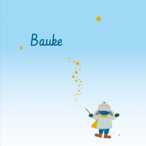 Geboortekaartje - Bauke DZ