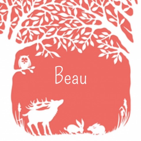 Geboortekaartje Beau - GA voor