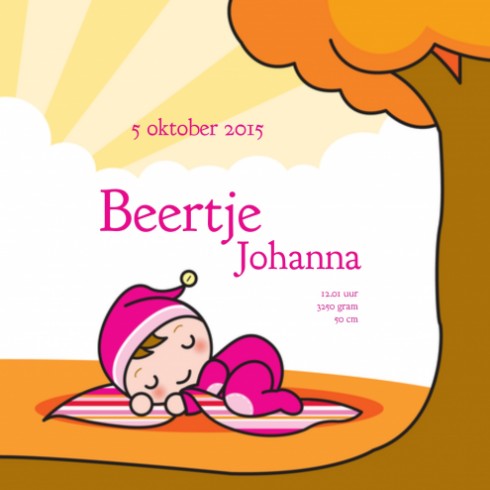 Geboortekaartje Beertje - Gb