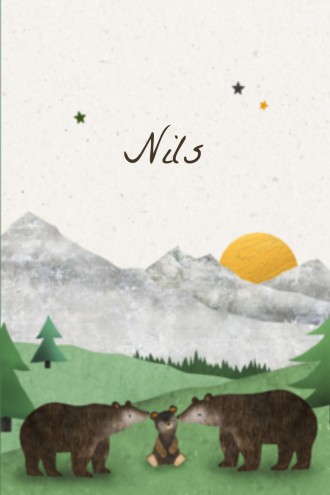 Geboortekaartje Beertje Nils - SV