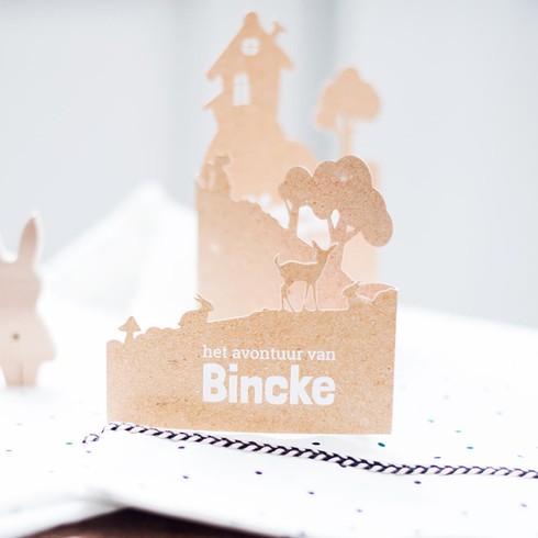 Avontuurlijk 3D geboortekaartje met huisje - Bincke