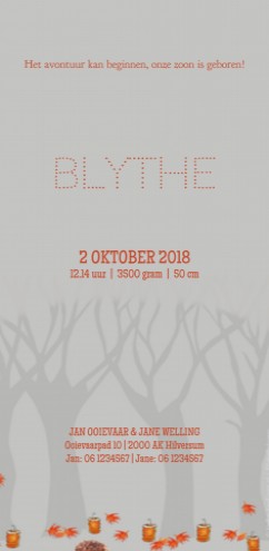 Geboortekaartje Blythe - EB achter