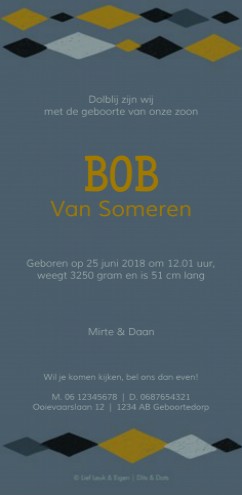 Geboortekaartje Bob - Dits en Dot achter