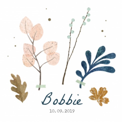Geboortekaartje Bobbie - SV voor