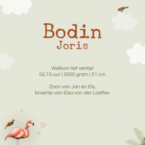 Geboortekaartje Bodin - LK binnen