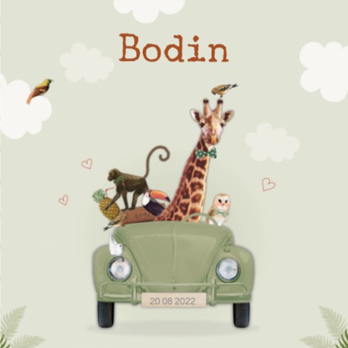 Geboortekaartje Bodin