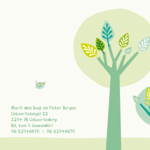 Geboortekaartje bomen - Bram - HK
