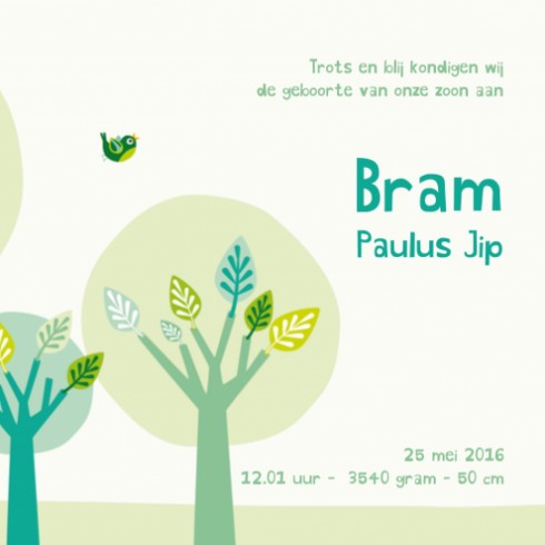 Geboortekaartje bomen - Bram - HK