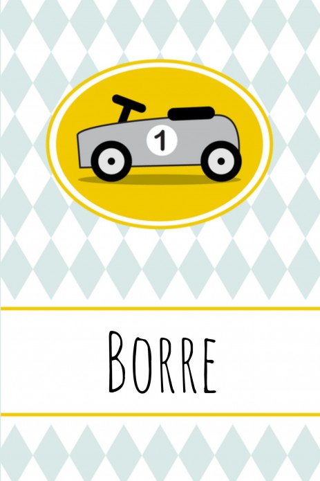 Geboortekaartje Borre - GB voor
