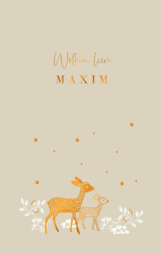 Geboortekaartje bosdieren klassiek met folie - Maxim voor