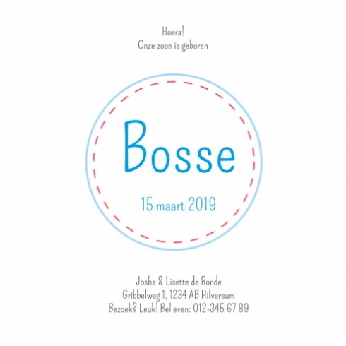 Geboortekaartje Bosse - GB binnen