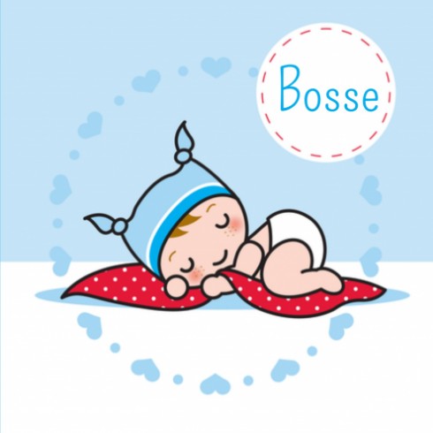 Geboortekaartje Bosse - GB voor