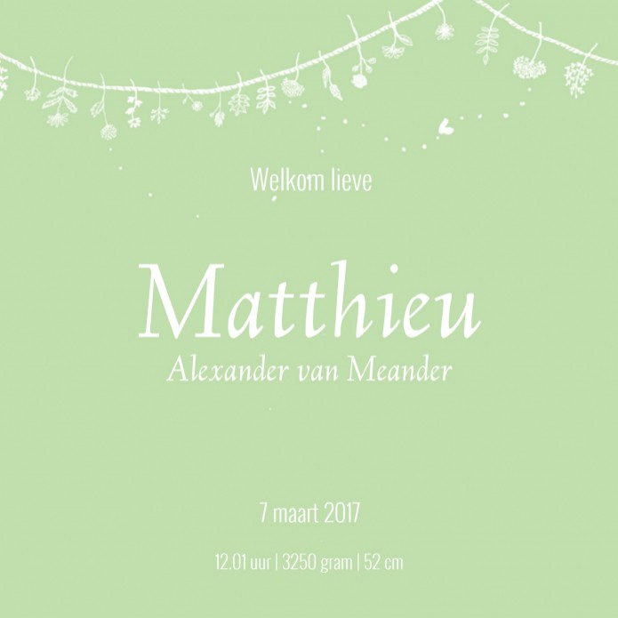 Geboortekaartje Botanisch Matthieu - EB