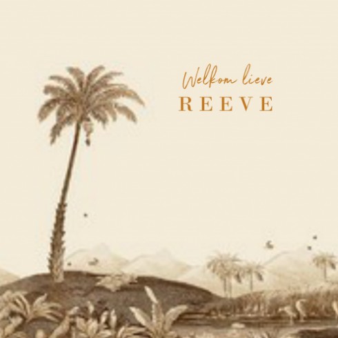 Geboortekaartje botanisch palmen - Reeve voor