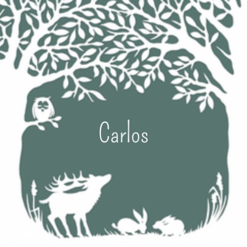 Geboortekaartje Carlos - GA
