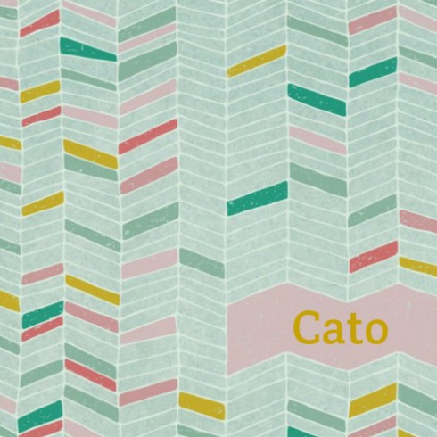 Geboortekaartje Cato - Dits en Dots