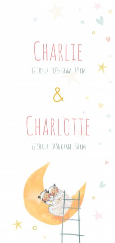 Geboortekaartje Charlie en Charlotte - EB
