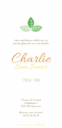 Geboortekaartje Charlie - GB achter