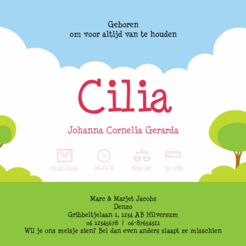 Geboortekaartje Cilia - Gb binnen