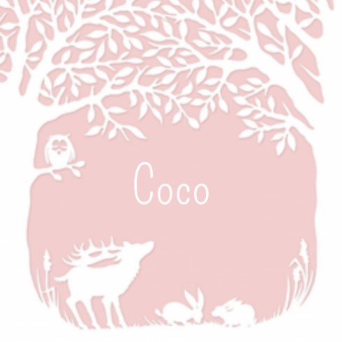 Geboortekaartje Coco - GA voor