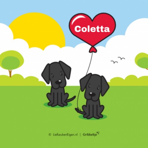 Geboortekaartje Coletta - Gb