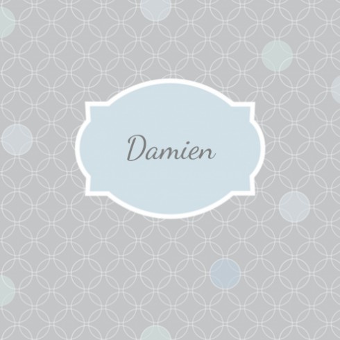 Geboortekaartje Damien - Made4
