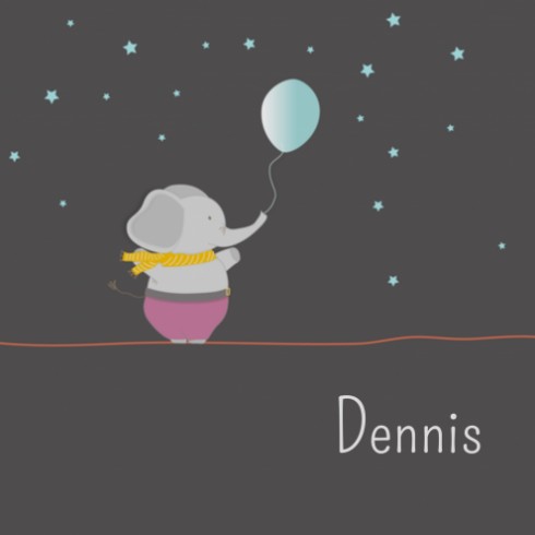 Geboortekaartje - Dennis DZ