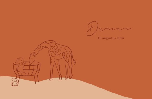 Geboortekaartje met dieren illustratie en kindje in wieg - Duncan
